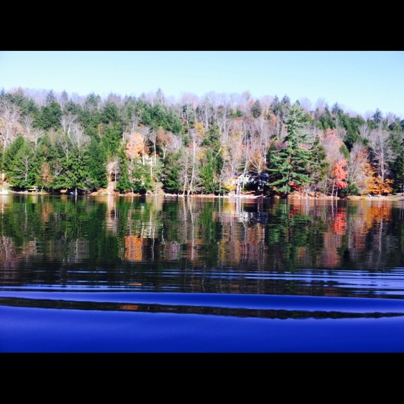 Meet your Posher, Will - Picture 1 of 1